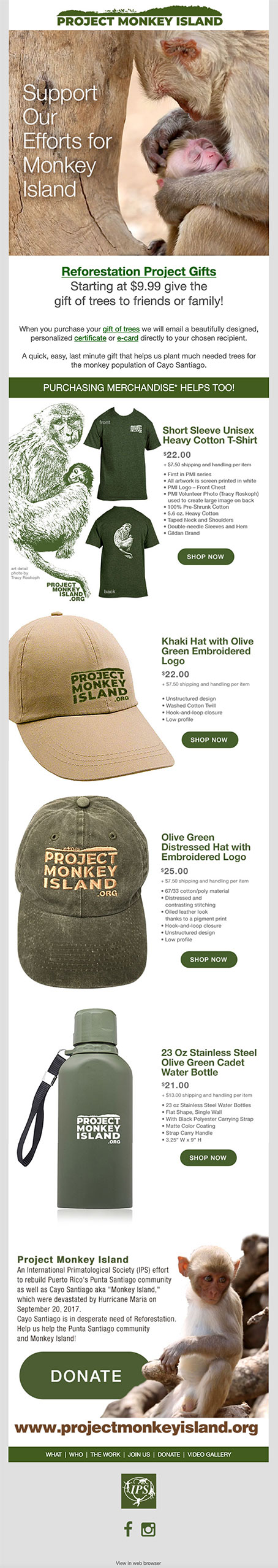 Project Monkey Island Email Layout