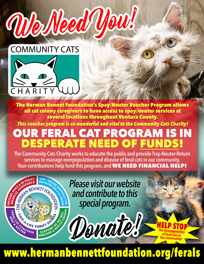 HBF Feral Cat Donations