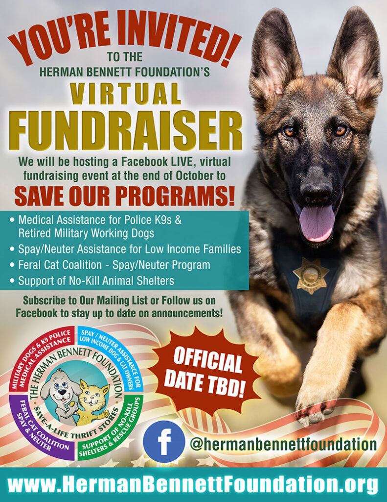 HBF Fundraiser Flyer