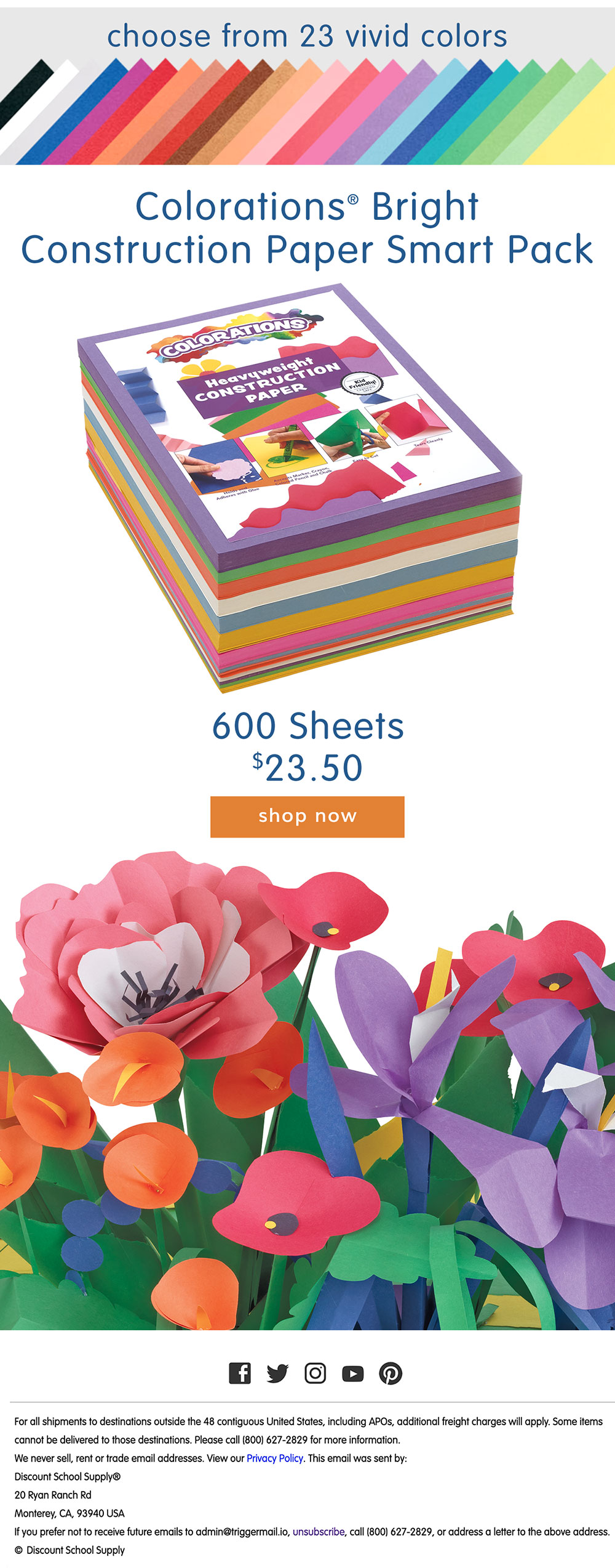 DSS BTS Colorations Paper